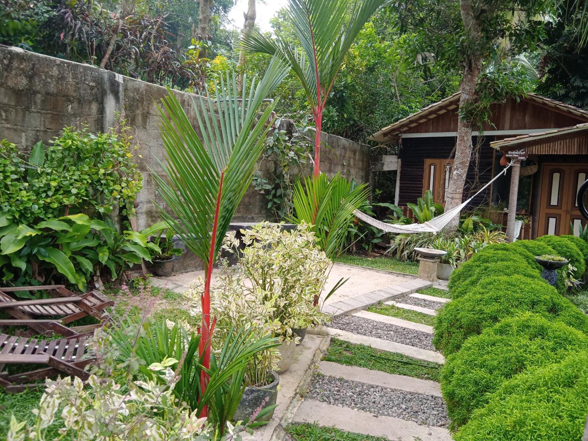 Hathawariya Green View Cabin Talpe Rum bild